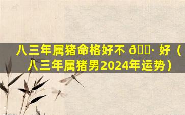 八三年属猪命格好不 🌷 好（八三年属猪男2024年运势）